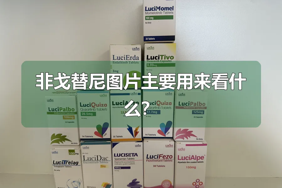 非戈替尼图片主要用来看什么?